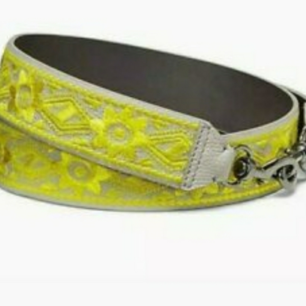 Rebecca Minkoff Guitar Strap Or Purse Strap